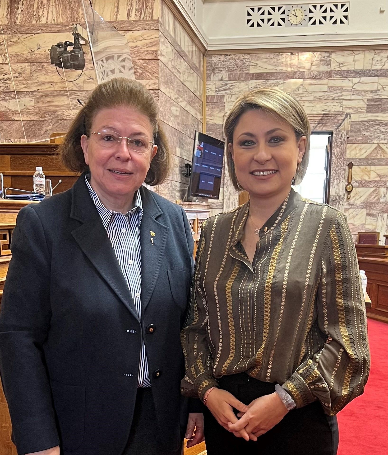 Η Χριστίνα Αλεξοπούλου εισηγήτρια του Νομοσχεδίου για τον εκσυγχρονισμό της  μουσειακής πολιτικής