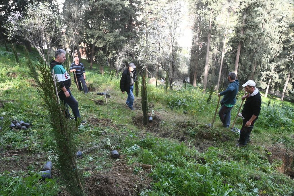 Σε ευρεία αναδάσωση του Δασυλλίου  προχώρησε  το Τμήμα Πρασίνου της Διεύθυνσης  Περιβάλλοντος Ενέργειας και Πρασίνου του Δήμου Πατρέων.