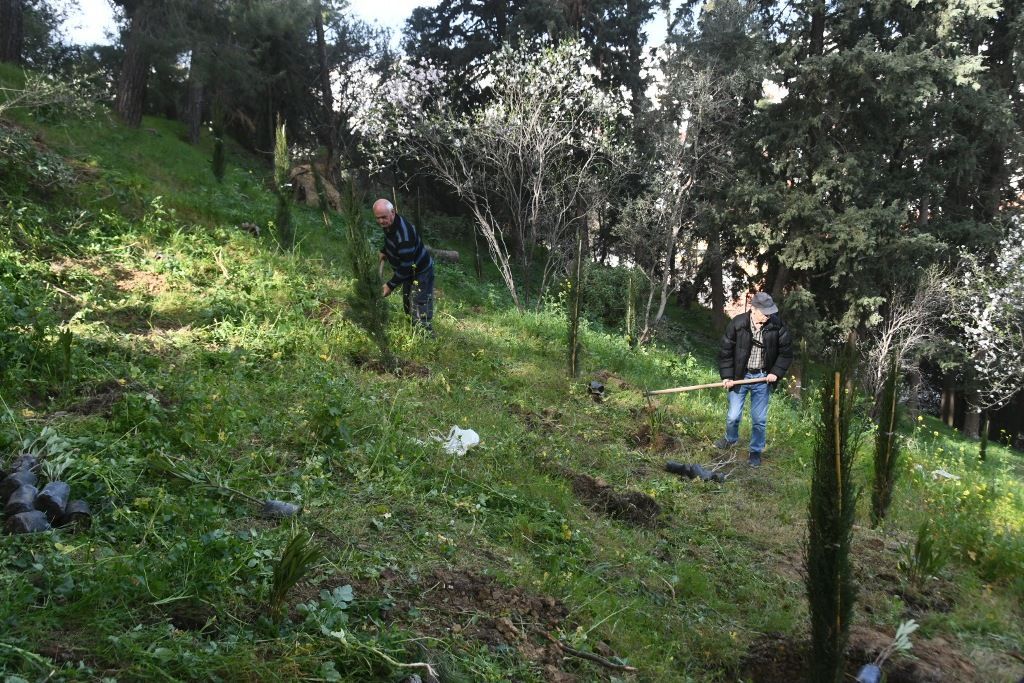 Σε ευρεία αναδάσωση του Δασυλλίου  προχώρησε  το Τμήμα Πρασίνου της Διεύθυνσης  Περιβάλλοντος Ενέργειας και Πρασίνου του Δήμου Πατρέων.