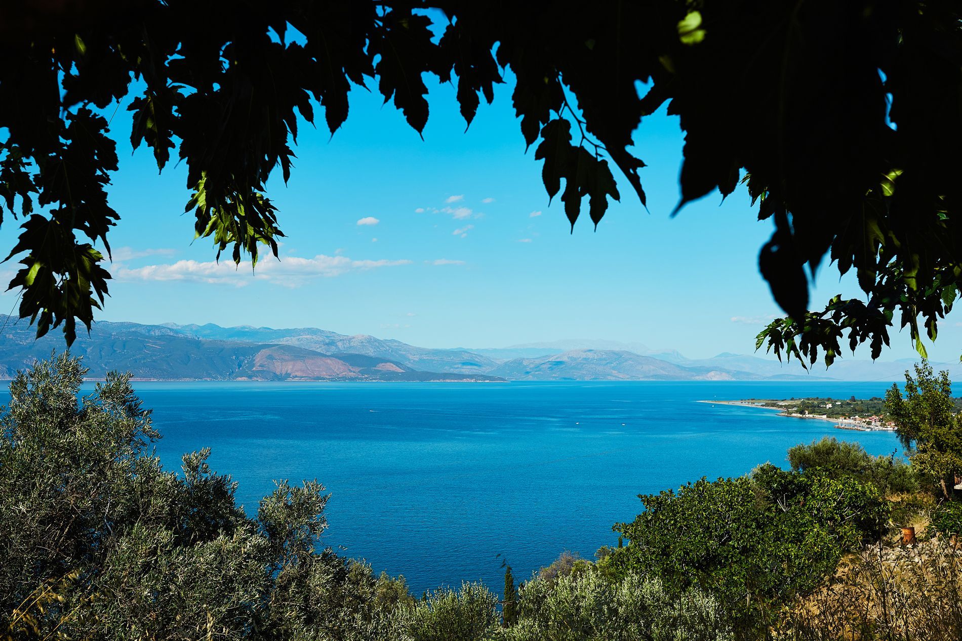 1o Aigio Music Festival | 14-23 Ιουλίου