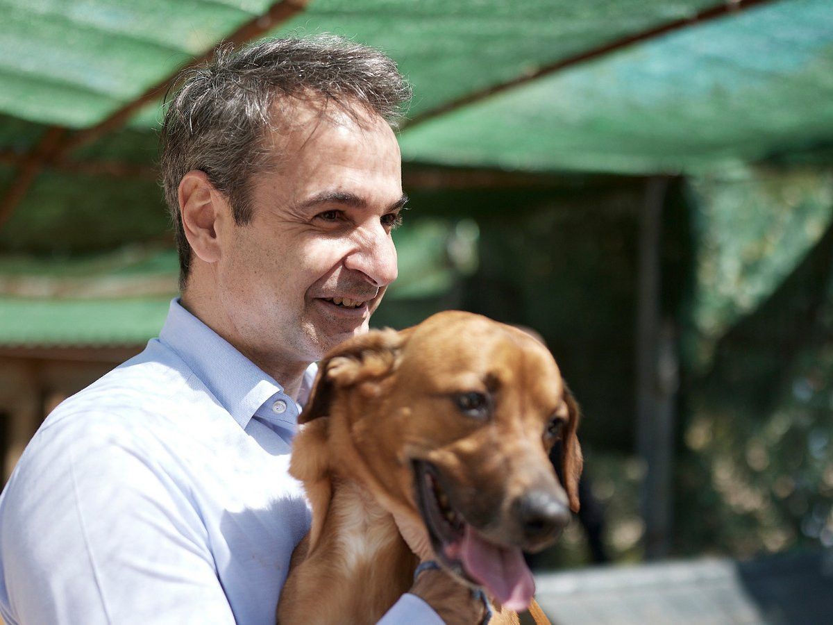 Μητσοτάκης για Παγκόσμια Ημέρα Ζώων:«Κανένα ζώο αδέσποτο,κανένα κακοποιημένο»