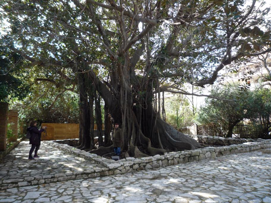 Παρουσιάζεται το νέο βιβλίο της ιστορικού-φιλολόγου Γιώτας Καΐκα  “Μνήμες και Εικόνες”