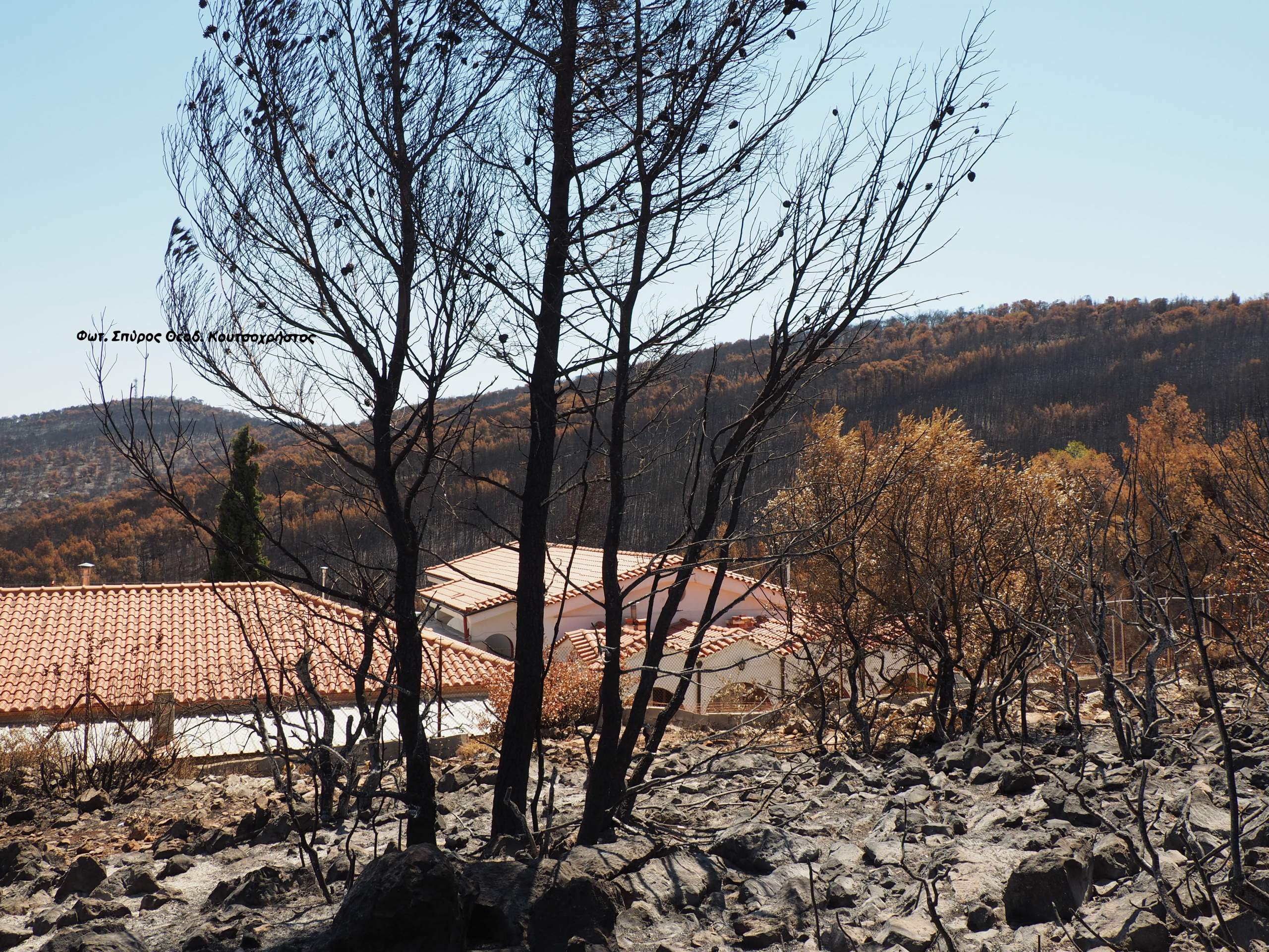 Σώθηκε η Γυναικεία Ιερά Μονή Παναγίας Ευαγγελιστρίας & Οσίου Δαυίδ Μάνδρας – Αττικής