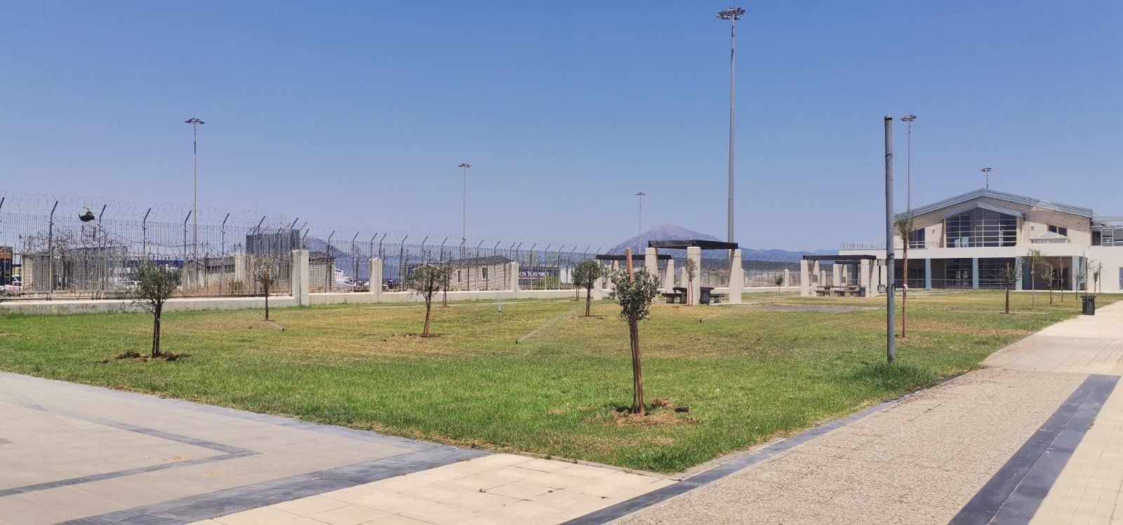 Πάνω από 425 νέα δέντρα και θάμνοι στο Νέο Λιμάνι της Πάτρας από τον ΟΛΠΑ