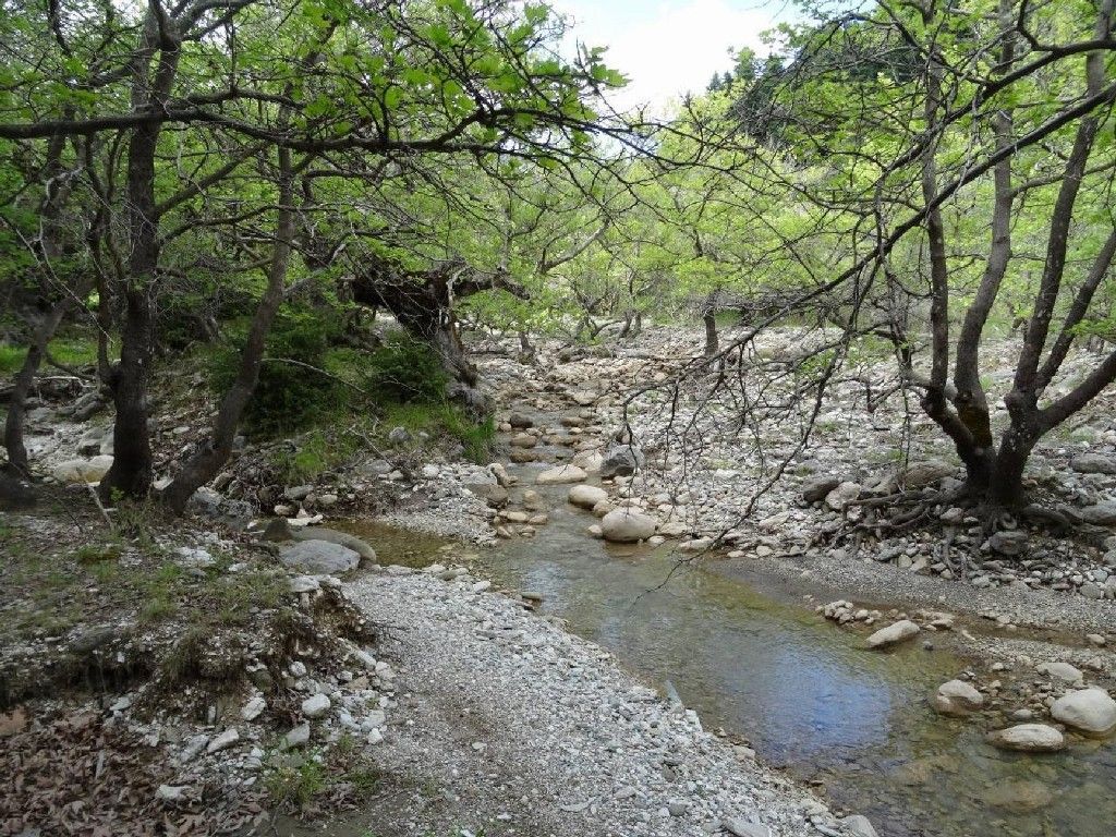 Δρόμος πρόσβασης, μονοπάτια πεζοπορίας και σημεία δασικής αναψυχής των πολιτών στο Παναχαϊκό όρος