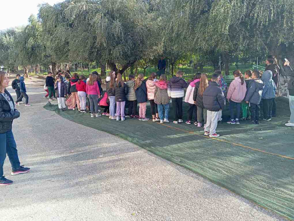 Μαθητές των δημοτικών σχολείων 22ο και 24ο της Πάτρας, μάζεψαν ελιές και έμαθαν για την αξία των δέντρων στην ζωή μας και στην προστασία του περιβάλλοντος