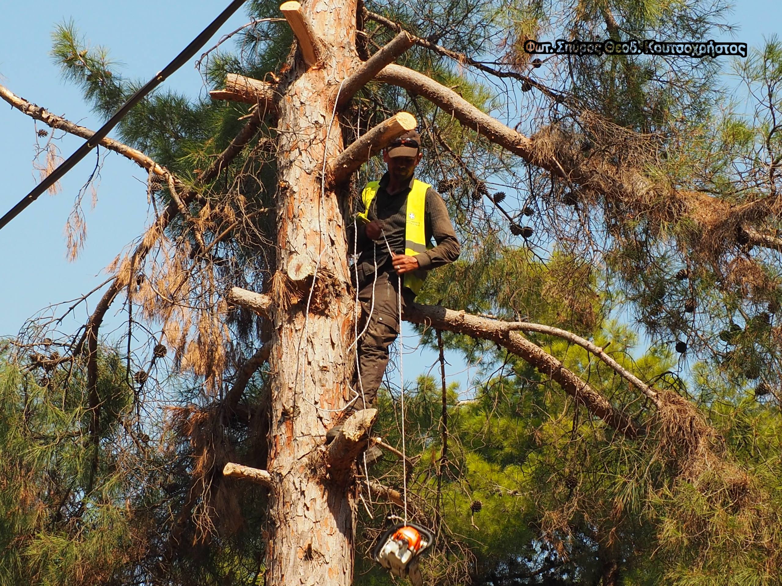 Πρόγραμμα δασοπροστασίας στο Ε.Κ.Ε.Φ.Ε. “Δημόκριτος”