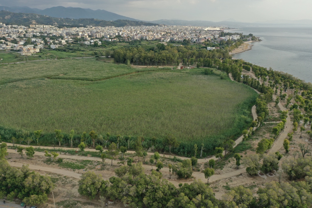 Ανοιχτή Παμπατραϊκή σύσκεψη για το Πράσινο και το Περιβάλλον στο Παμπελοποννησιακό Στάδιο