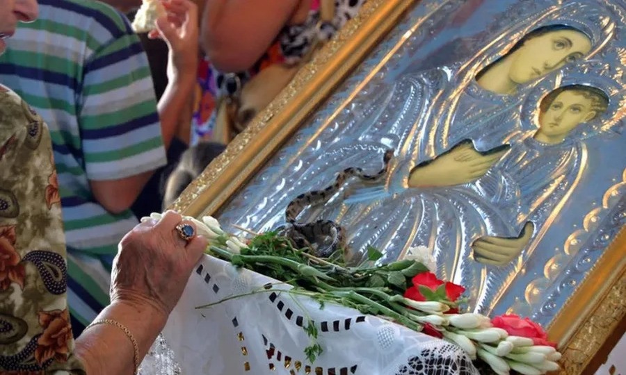 “Τα φίδια της Παναγίας στην Κεφαλλονιά”. Του Νικολάου Ζαχαριάδη.