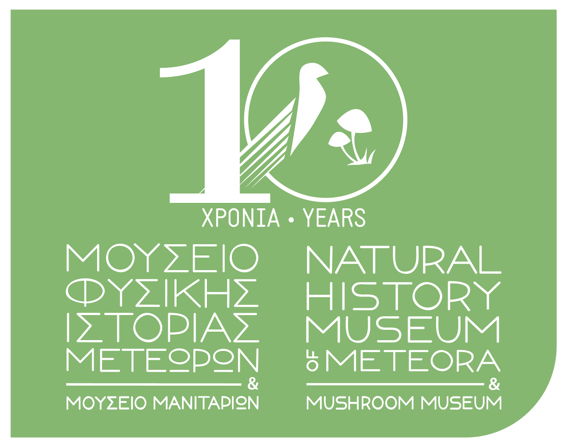 ΕΚΤΟ ΣΤΗΝ ΕΥΡΩΠΗ ΤΟ ΜΟΥΣΕΙΟ ΦΥΣΙΚΗΣ ΙΣΤΟΡΙΑΣ ΜΕΤΕΩΡΩΝ ΚΑΙ ΜΟΥΣΕΙΟ ΜΑΝΙΤΑΡΙΩΝ