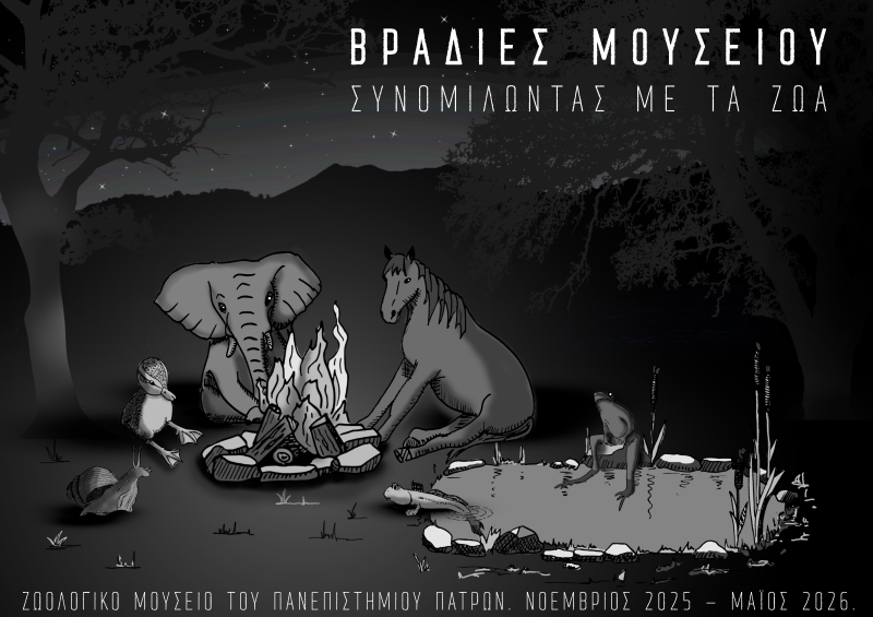 “Βραδιές Μουσείου: Συνομιλώντας με τα Ζώα” στο Ζωολογικό Μουσείο του Πανεπιστημίου Πατρών