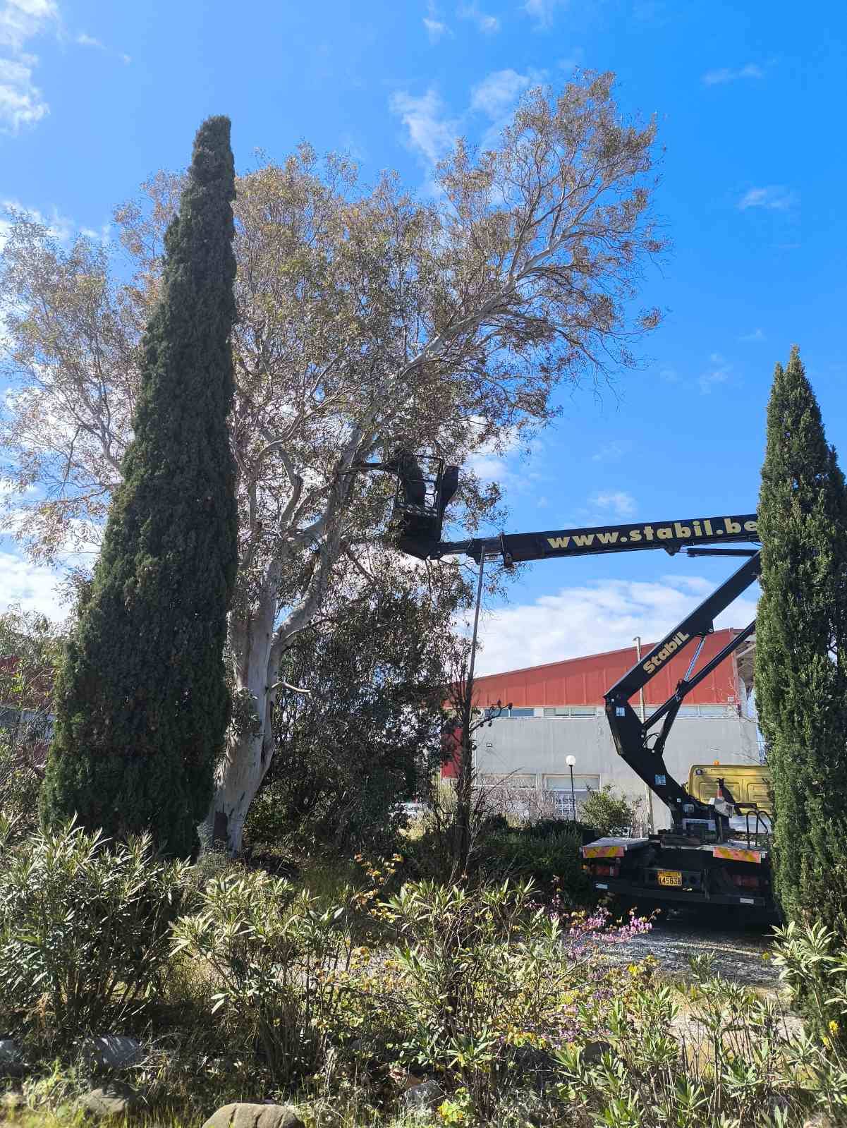 Το  Πανεπιστήμιο Πάτρων  εξελίσσεται με σχέδιο, συνέπεια και σεβασμό στους ανθρώπους του