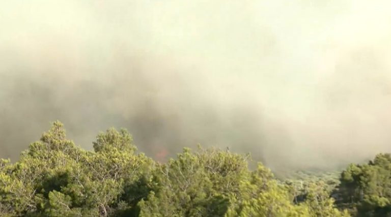 Φωτιά στην Αιγιάλεια: Ολονύχτια «μάχη» στις Νεραντζιές – Ισχυρές δυνάμεις και εναέρια μέσα στη μάχη με τις αναζωπυρώσεις
